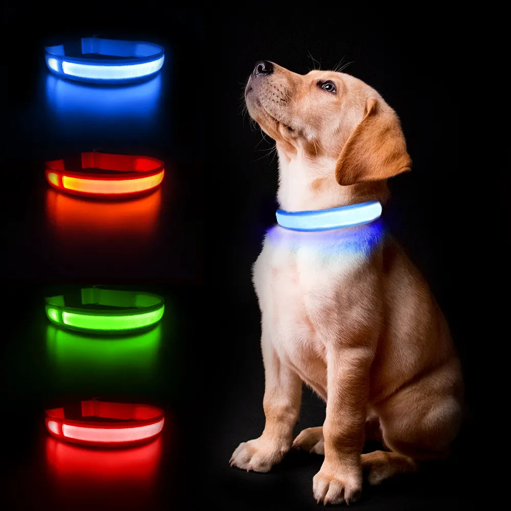 MASBRILL  waterproof   luminous dog collar.