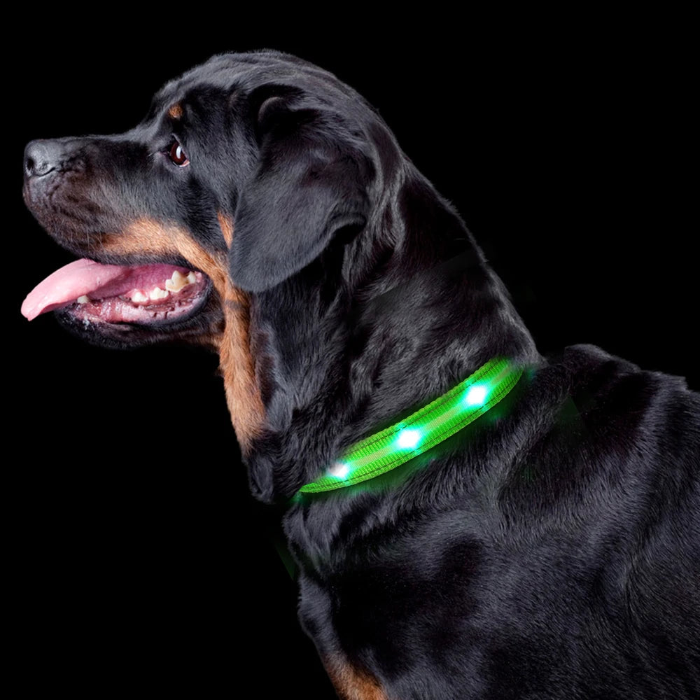 Glow Necklace & Flashing Lighting Up Dog Collars.