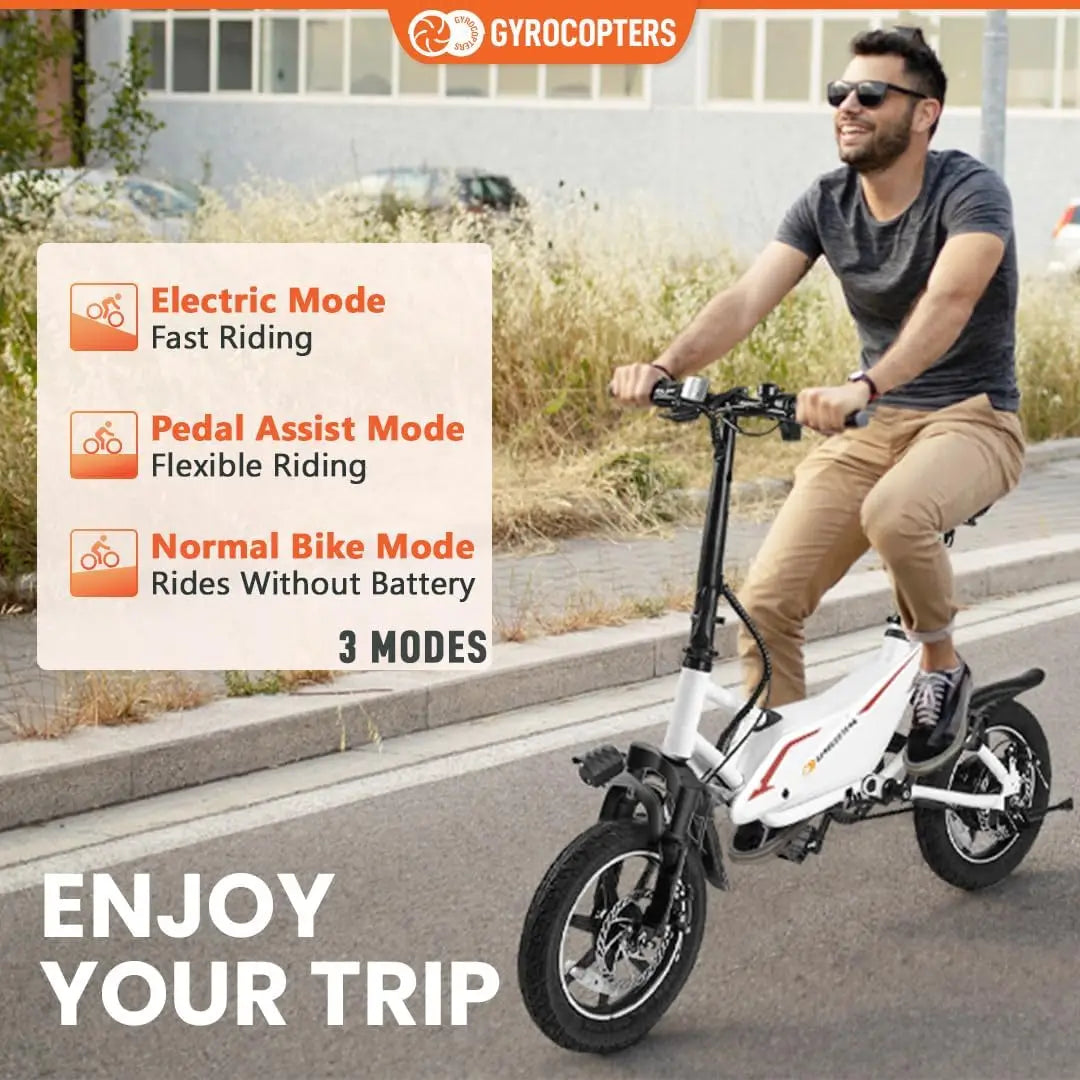 Folding Electric Bike for Adults.