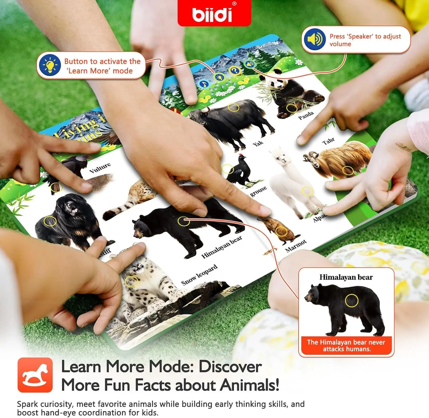 Biidi English Animal  Interactive Audio Sound Book  For Kids.
