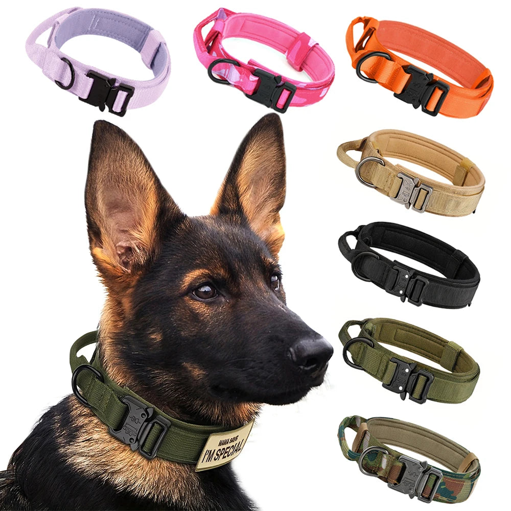 Dog Training Adjustable  Collar  And Leash Set With Control Handle.