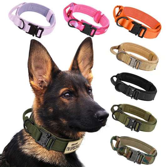 Dog Training Adjustable  Collar  And Leash Set With Control Handle.