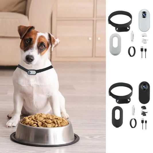 Dog/ Cat Outdoor Wireless Collar with Camera.