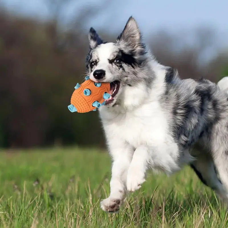 Interactive Pet Football Toys.