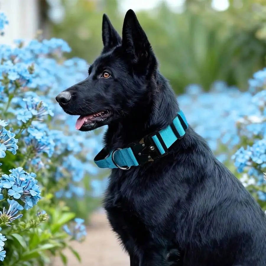 Adjustable Tactical Dog Collar With Handle For Medium And Large Dog Breeds.