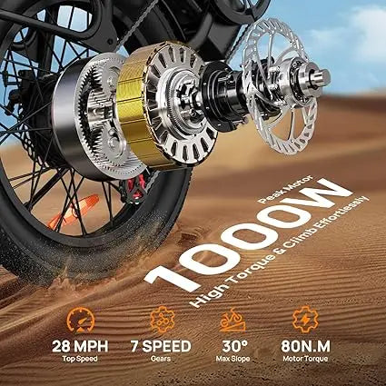 URLIFE 1000W E20 Electric Bike | With Dual Disc Brake