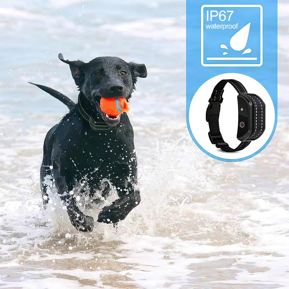 Electric Dog Training Collar with Remote Control .