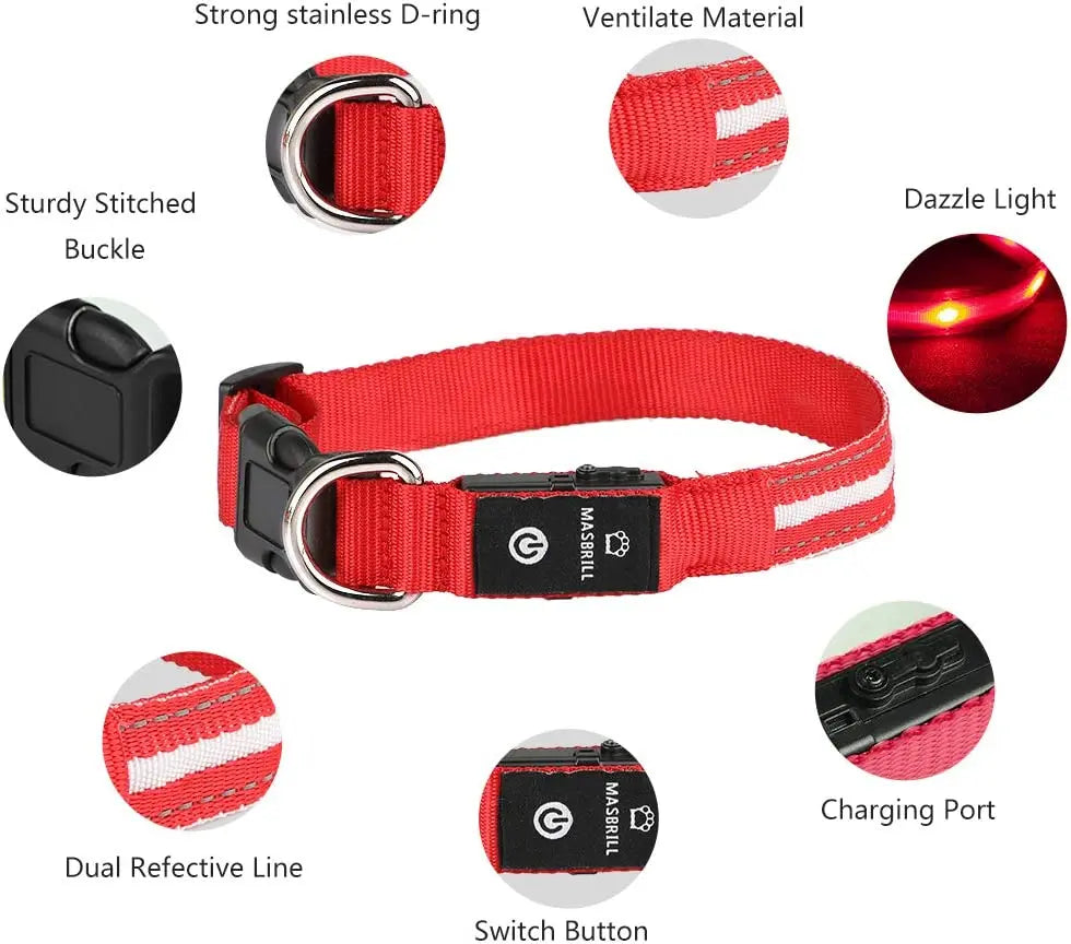 Waterproof & Rechargeable LED Dog Collar.