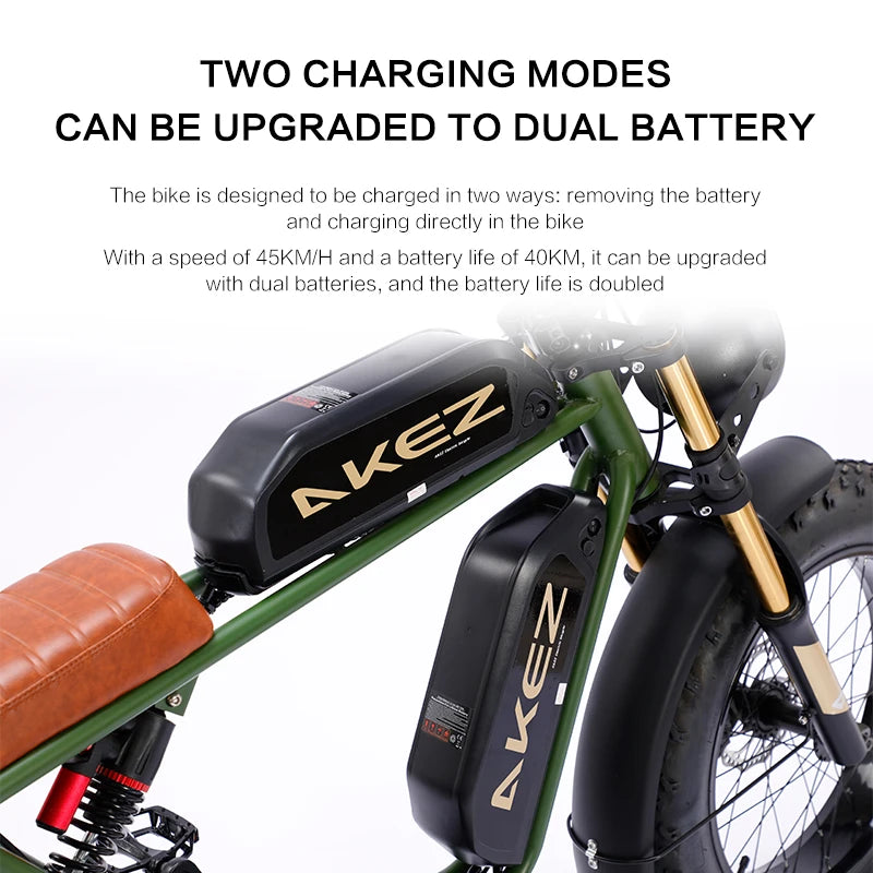 E - bike for Adults with1500W Motor.