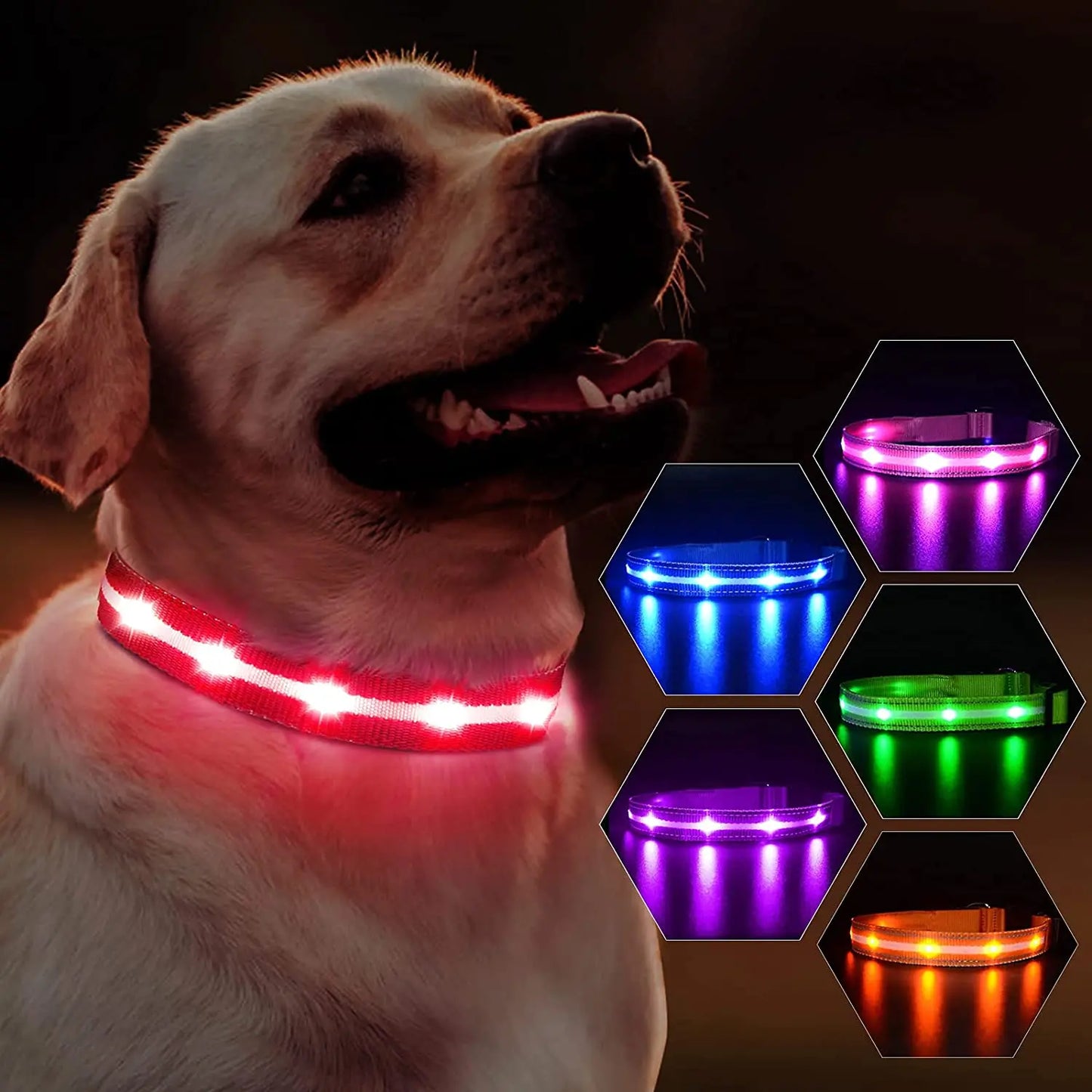 Waterproof & Rechargeable LED Dog Collar.