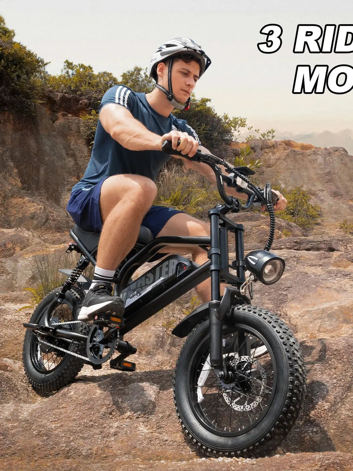 AVDL Mountain Electric Bike , 16" Fat Tire, Wider Seat & 800W Peak Motor.