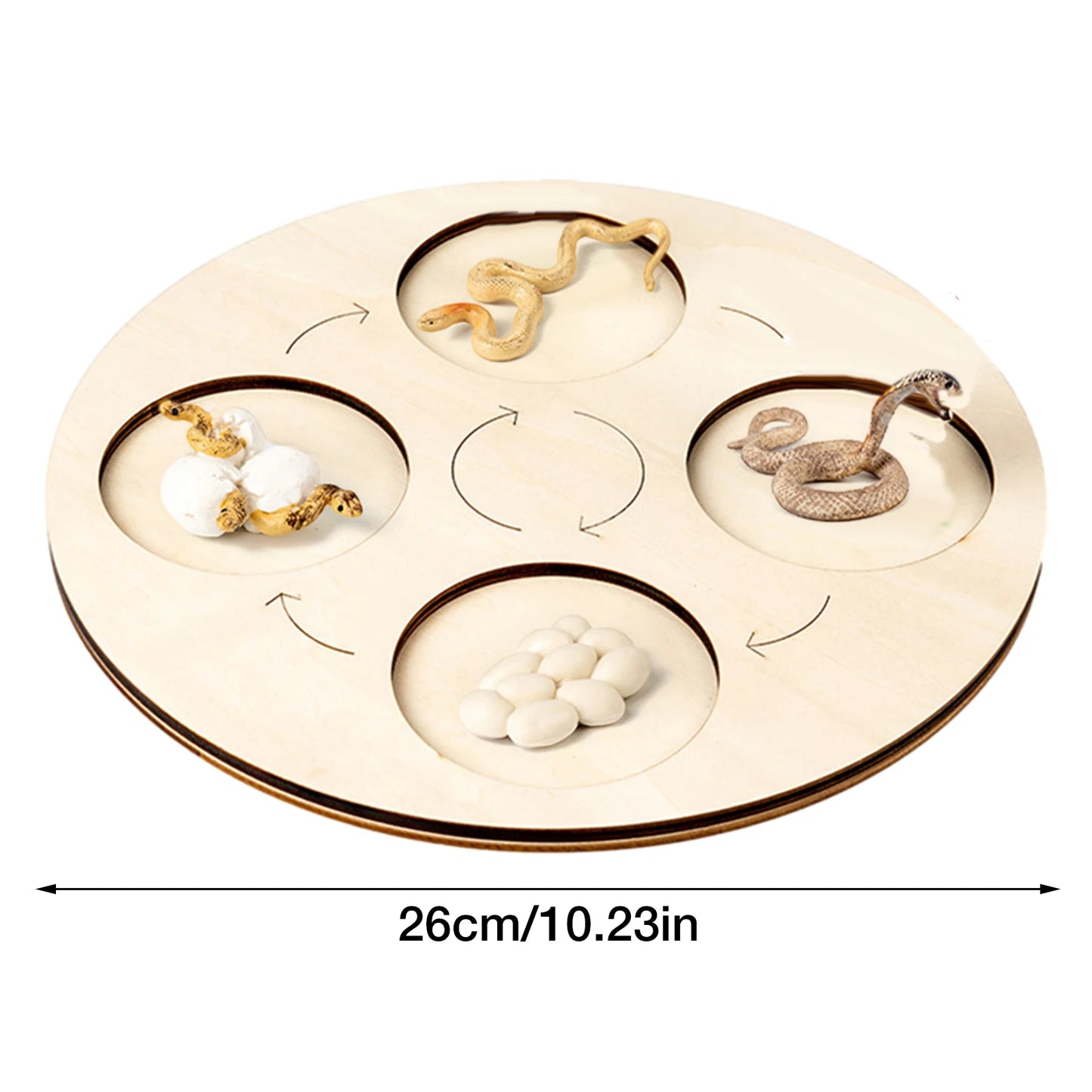 Preschool Animal Growth Cycle Model Set.