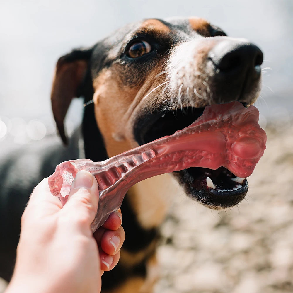 MASBRILL Dog Toys  For Aggressive Chewers.