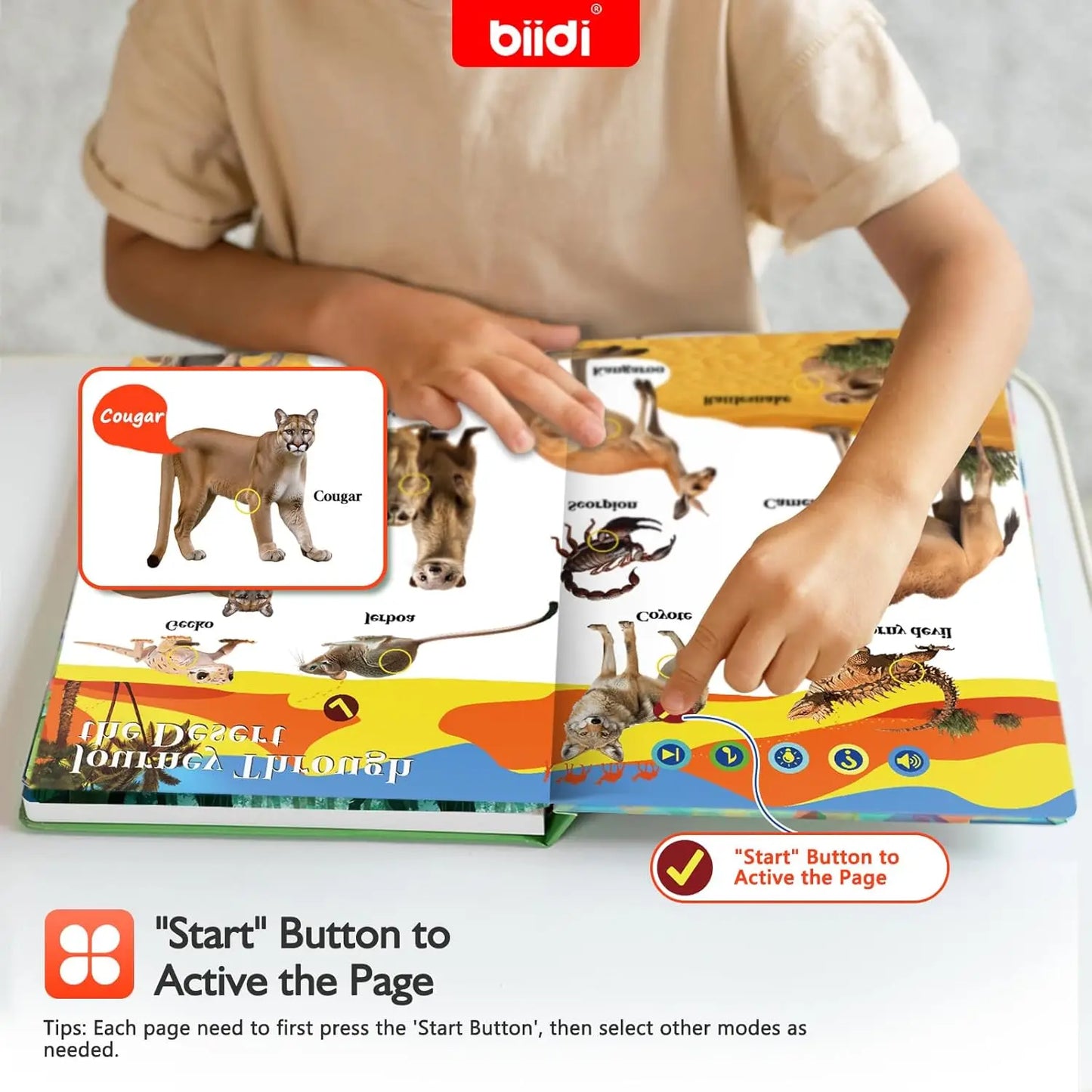Biidi English Animal  Interactive Audio Sound Book  For Kids.