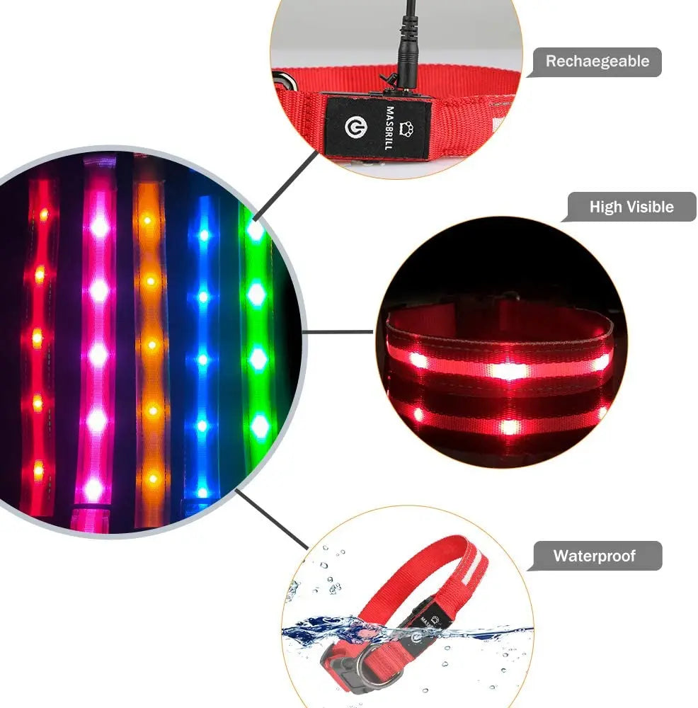 Waterproof & Rechargeable LED Dog Collar.