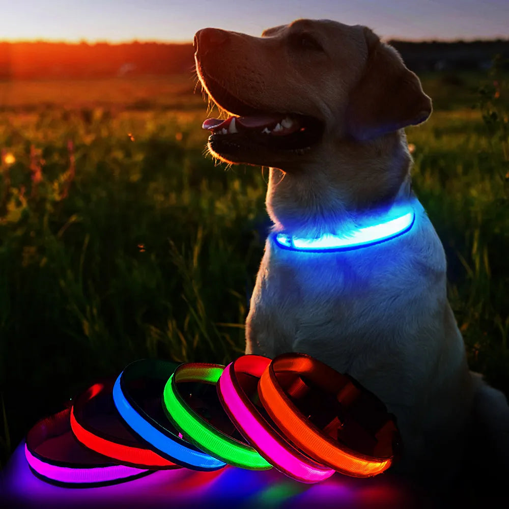 MASBRILL  waterproof   luminous dog collar.