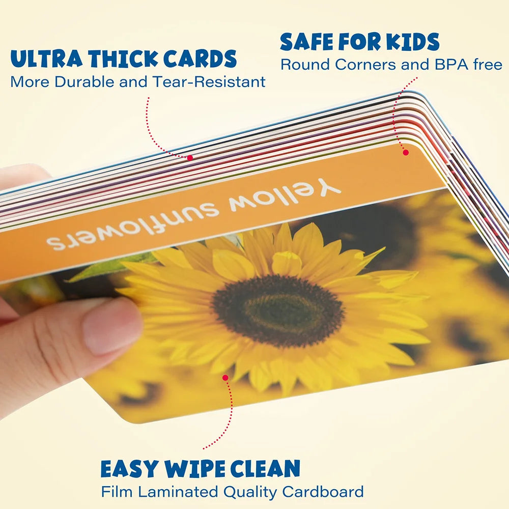 Double-Sided Educational Flashcards, Alphabet Number, Preschool Learning For Kids.