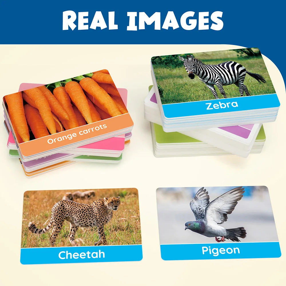 Double-Sided Educational Flashcards, Alphabet Number, Preschool Learning For Kids.