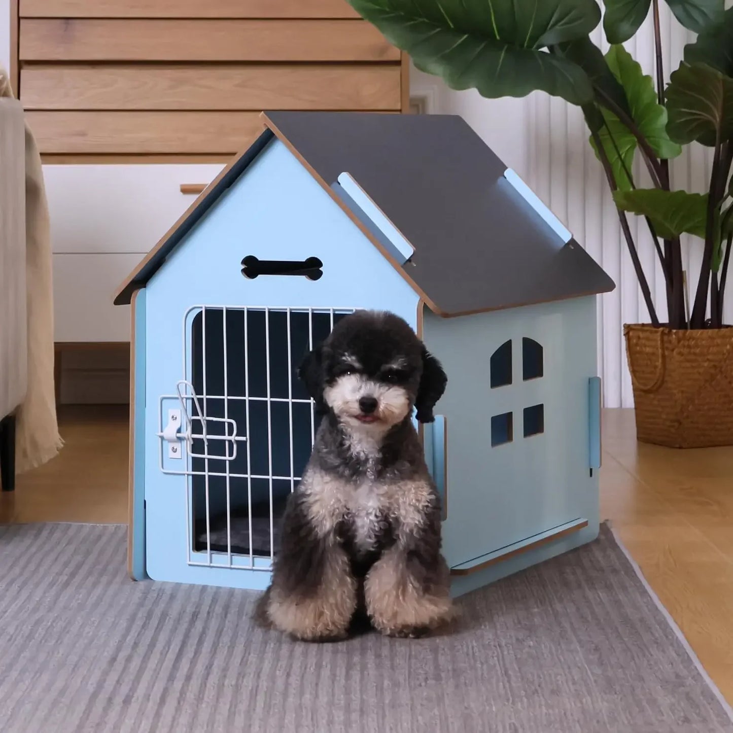 Indoor House for Small Dogs or Cats.