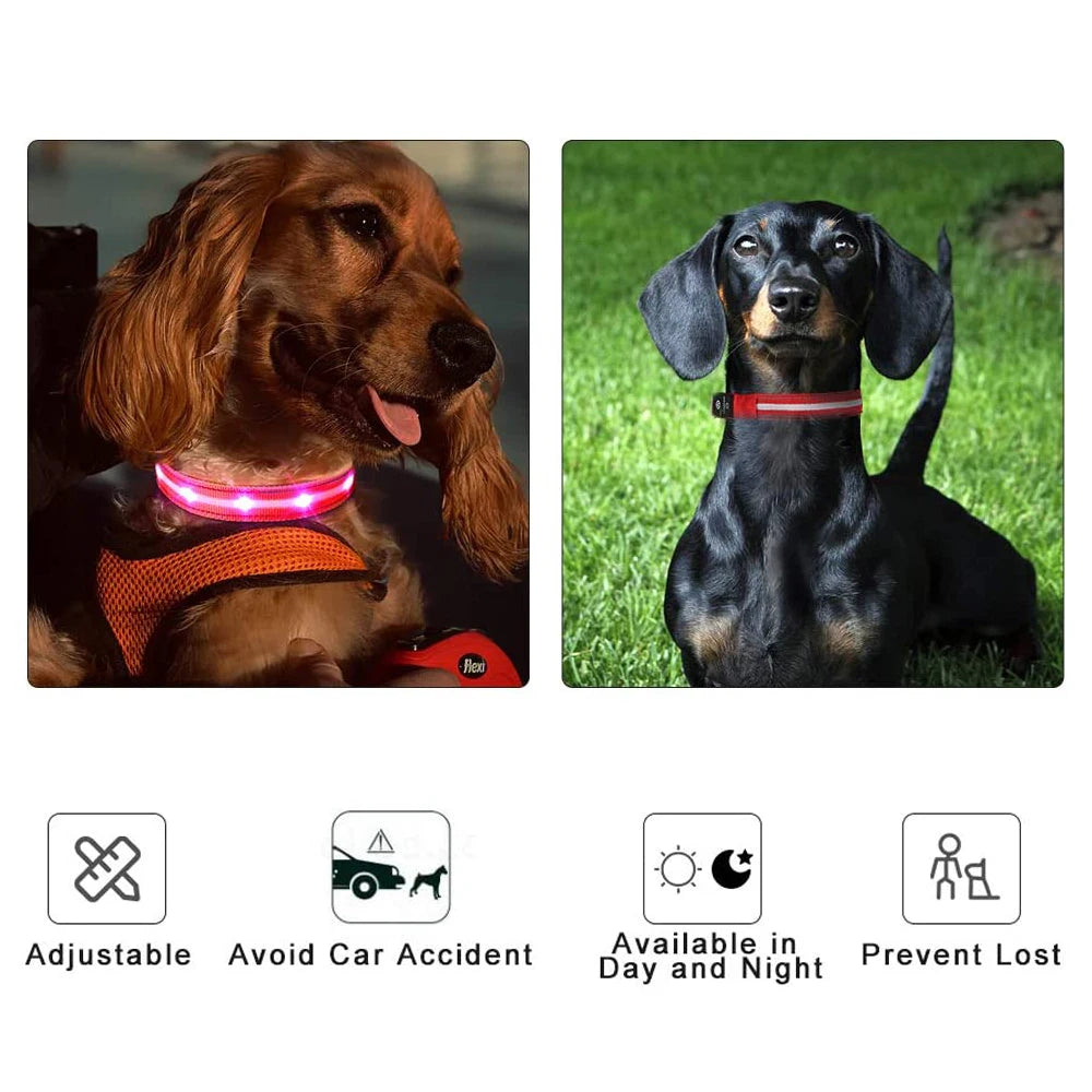 Waterproof & Rechargeable LED Dog Collar.