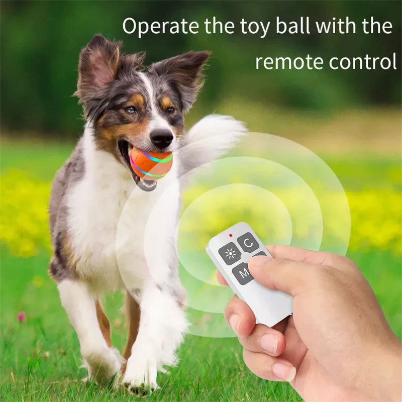 Remote Control Flashing Rolling Ball  For Aggressive Chewers.