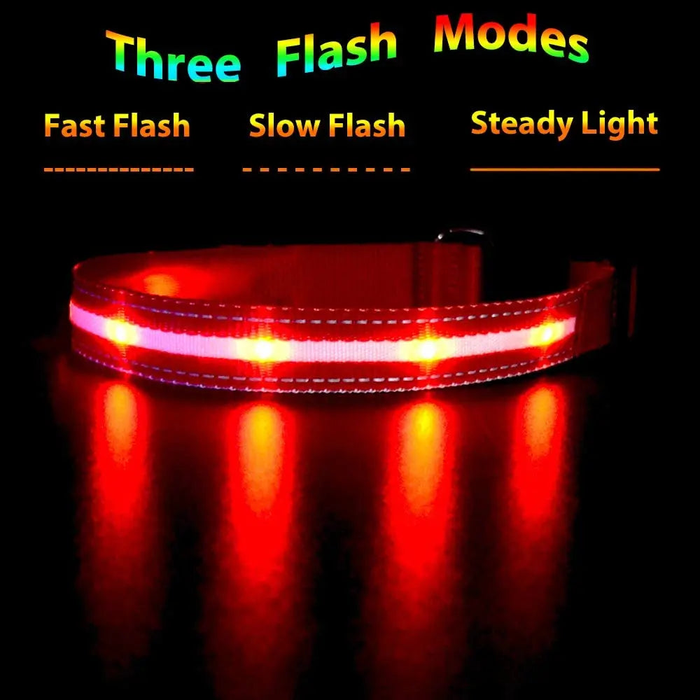 Waterproof & Rechargeable LED Dog Collar.