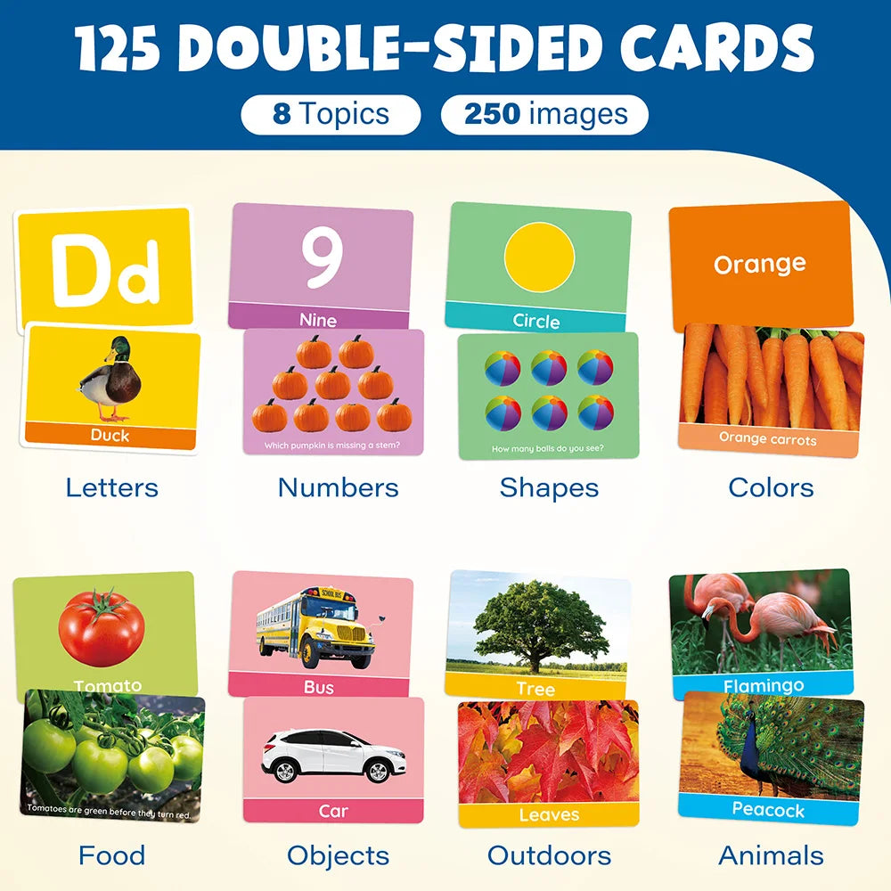 Double-Sided Educational Flashcards, Alphabet Number, Preschool Learning For Kids.