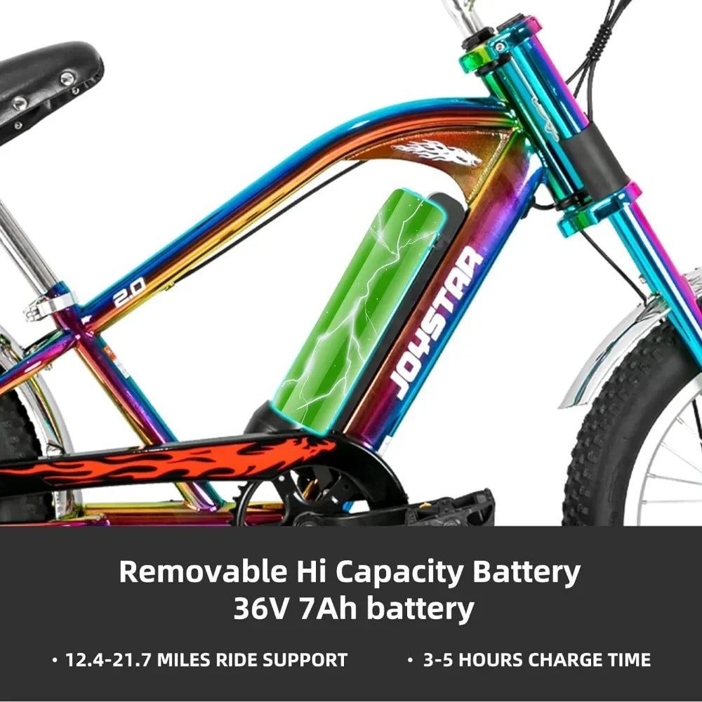 Electric Bicycle with 250W Brushless Motor.